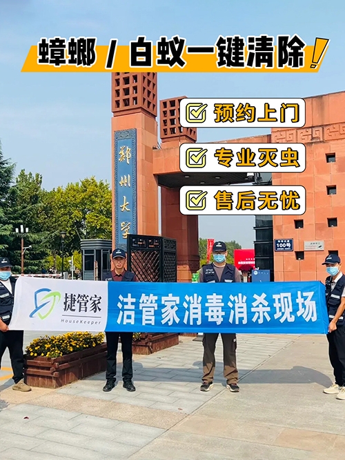 学校除四害